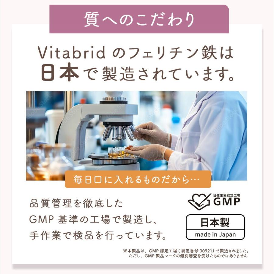 ビタブリッドジャパン 公式 フェリチン鉄 やさしい 鉄サプリ 60粒 約30