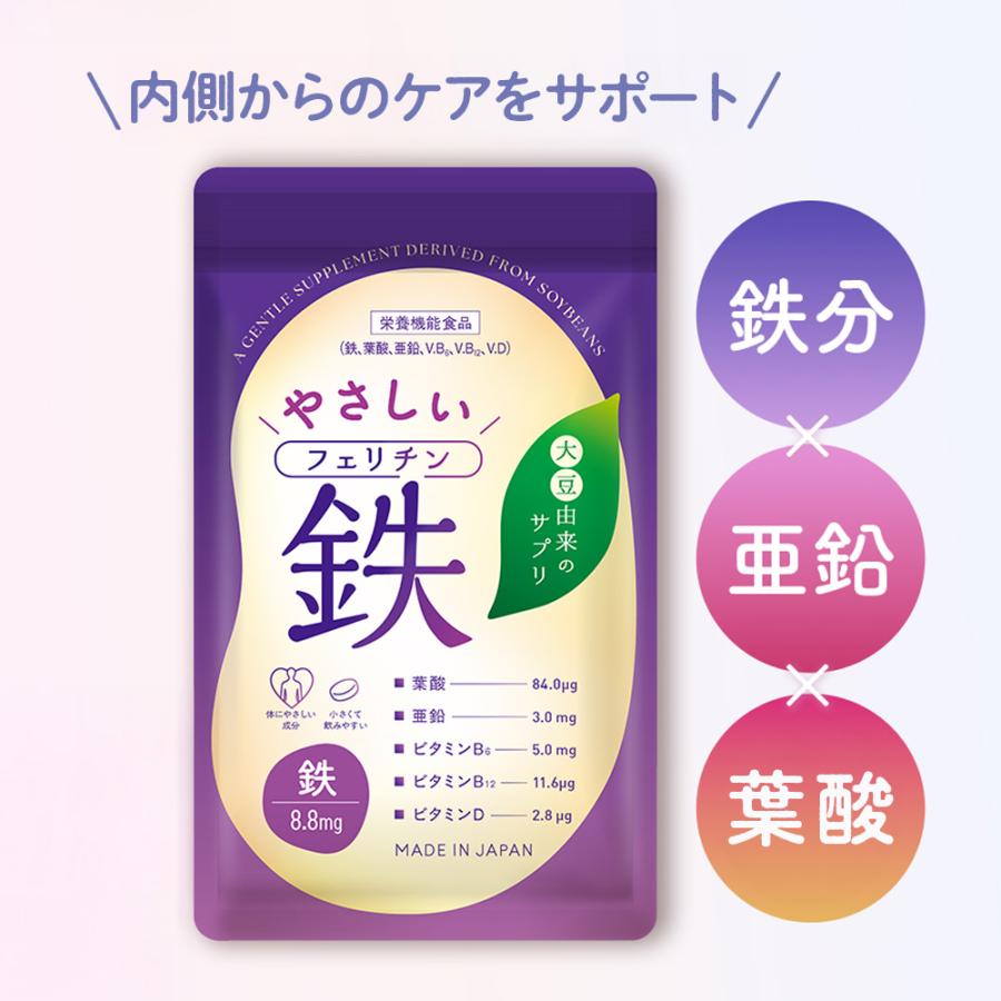 Vitabrid 30箱 専用ページ ビタブリッドジャパン 公式 フェリチン鉄 やさしい 鉄サプリ 60粒 約30
