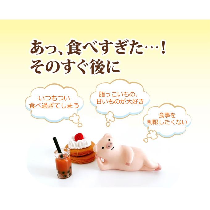キトサン食後のダイエット超お徳用 108g 360粒 ビタリア製薬 公式 
