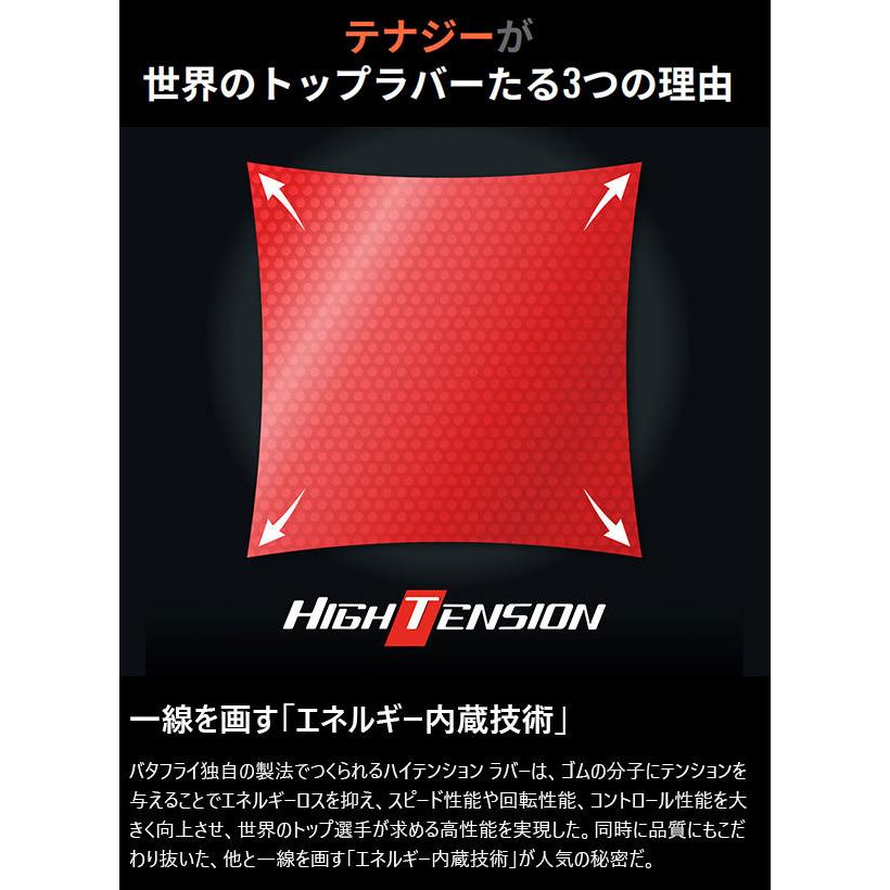 バタフライ（Butterfly） メンズ レディース ジュニア テナジー64