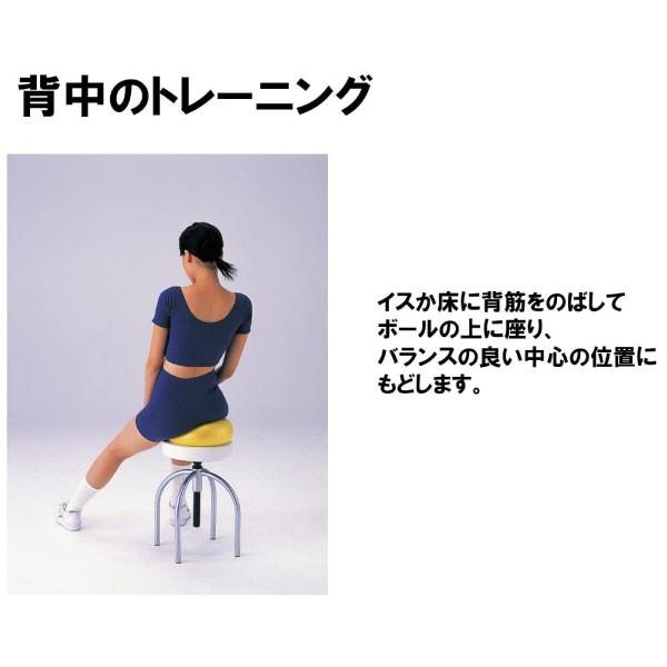 DANNO（ダンノ） 直径23cm メンズ レディース ジュニア ソフトギムニク