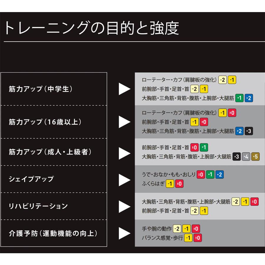 幅12.5cm×長さ5.4m ディーアンドエム メンズ レディース セラバンド THERABAND 強度レベル+1 トレーニングバンド エクササイズ マニュアル付き TB3｜vitaliser｜05