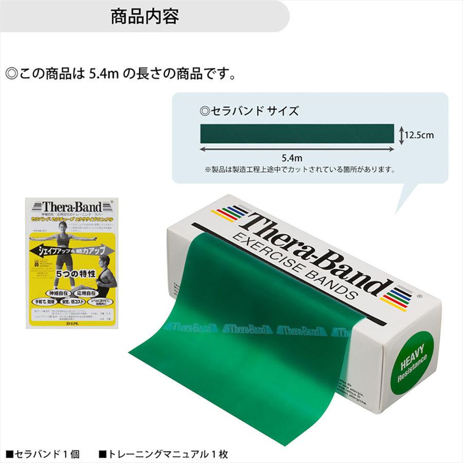 幅12.5cm×長さ5.4m ディーアンドエム メンズ レディース セラバンド THERABAND 強度レベル+1 トレーニングバンド エクササイズ マニュアル付き TB3｜vitaliser｜08