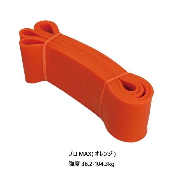 プロMAX ハタ メンズ レディース ザ・チューブ THE TUBE トレーニングチューブ トレーニング ヨガ ダイエット用品 20R5500PMの画像
