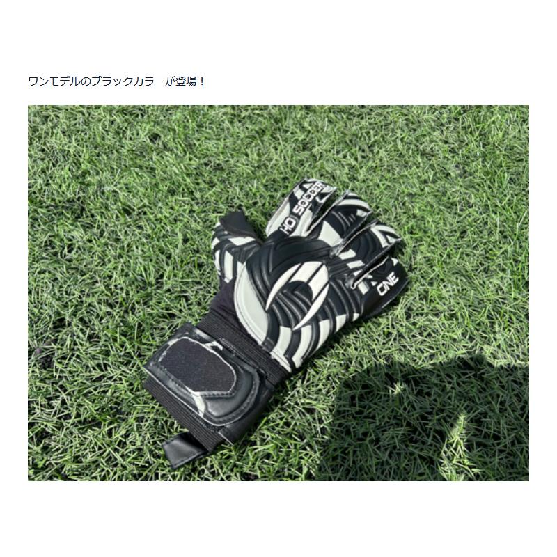HO SOCCER（エイチオーサッカー） メンズ レディース ジュニア ワン