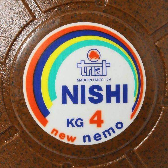 4kg ニシスポーツ メンズ レディース ネモメディシンボール トレーニング用品 NT5884Cの画像