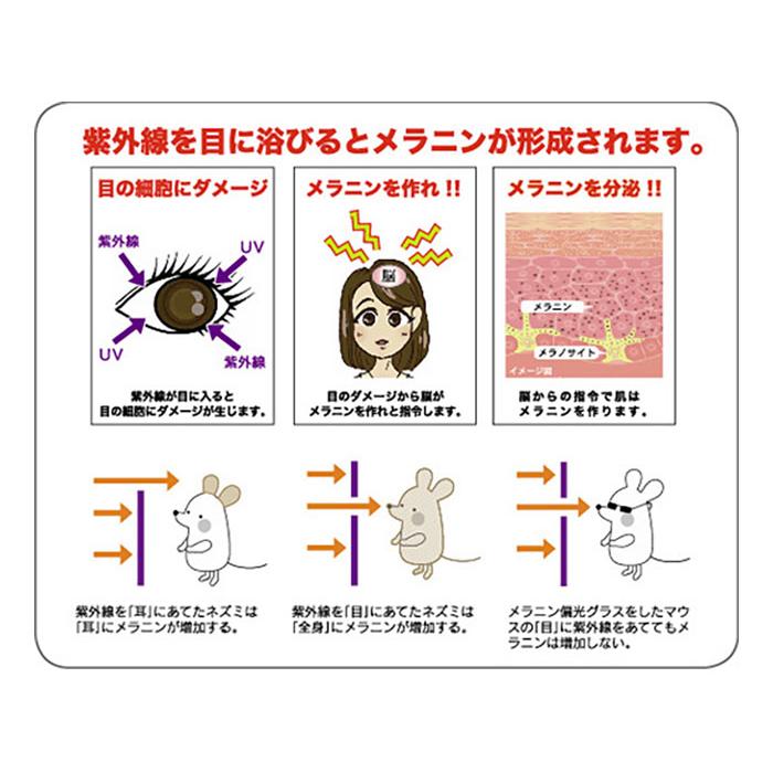 Prince（プリンス） メンズ レディース メラニン偏光レンズ付き