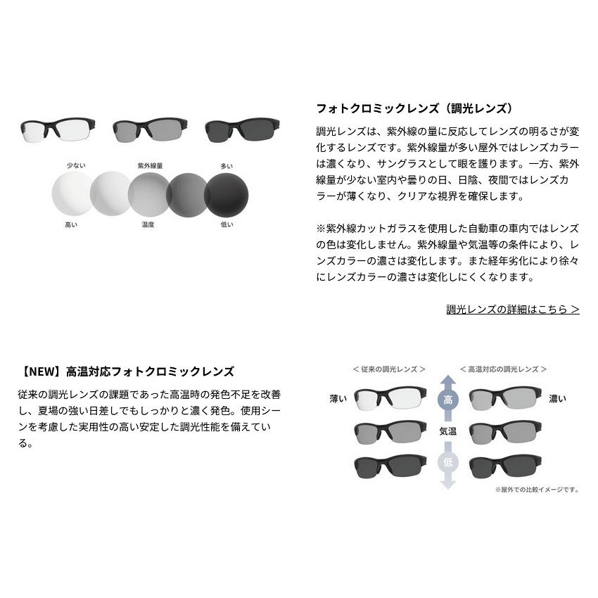 スワンズ メンズ レディース ライオン シン LION SIN 調光ミラーレンズモデル スポーツサングラス ミラーレンズ 高温対応レンズ UVカット LISIN-0766Zの画像
