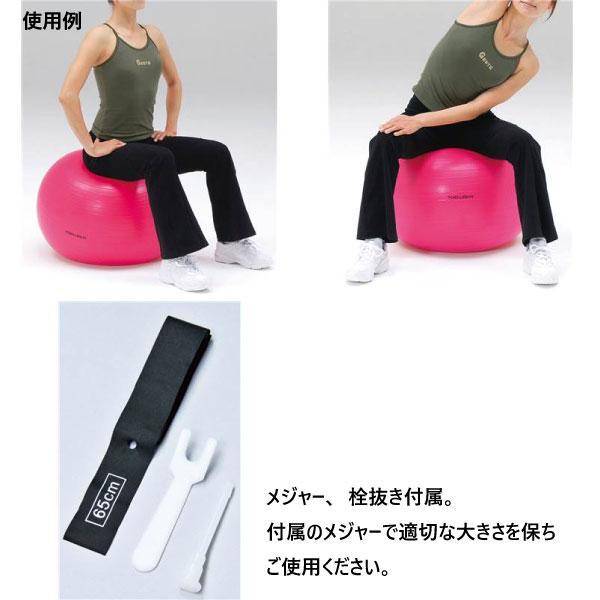 TOEI LIGHT 直径65cm トーエイライト メンズ レディース ボディーボール バランスボール ヨガ エクササイズ フィットネス ...