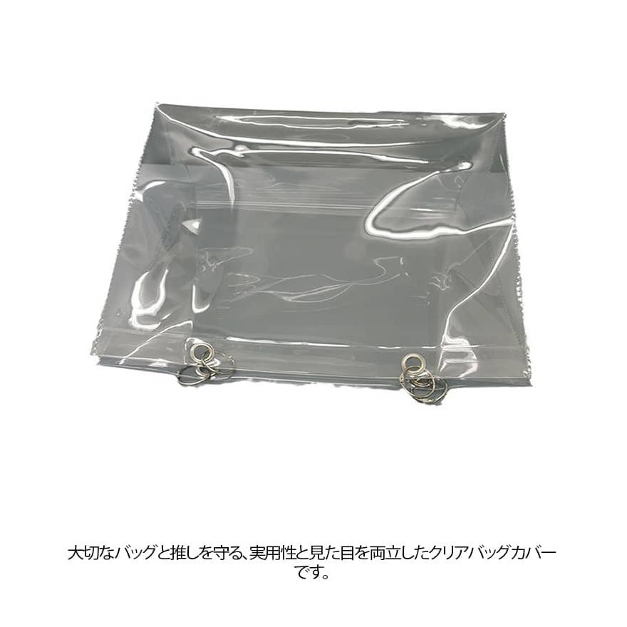 透明 バッグ 透明バッグ 送料無料 ツアーバッグ ビニールバッグ 2枚