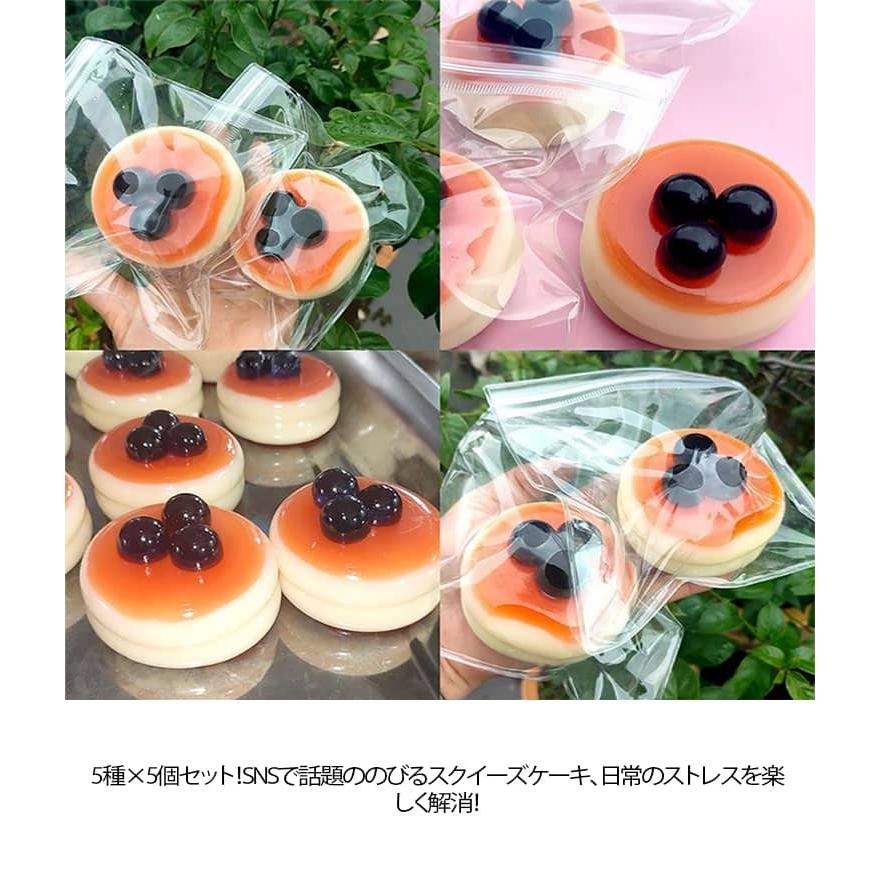 全5種×5個セット！スクイーズ 食品型フィジェット玩具 ストレス解消