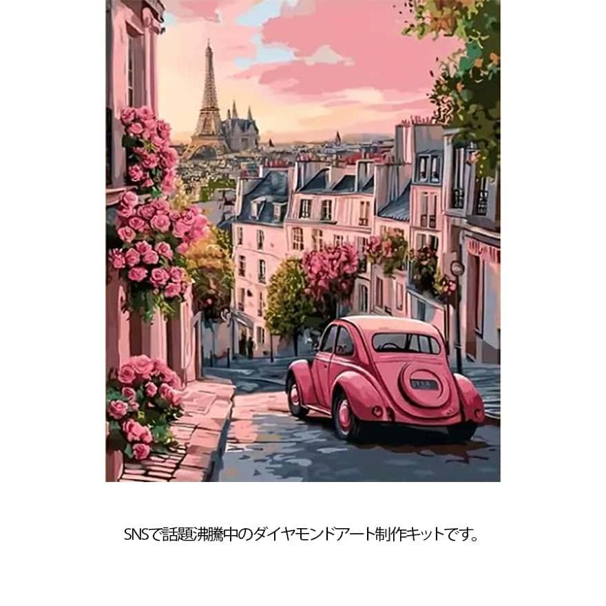 絵画 上級 ダイヤモンドアート 暇つぶし アート 2点セット キット