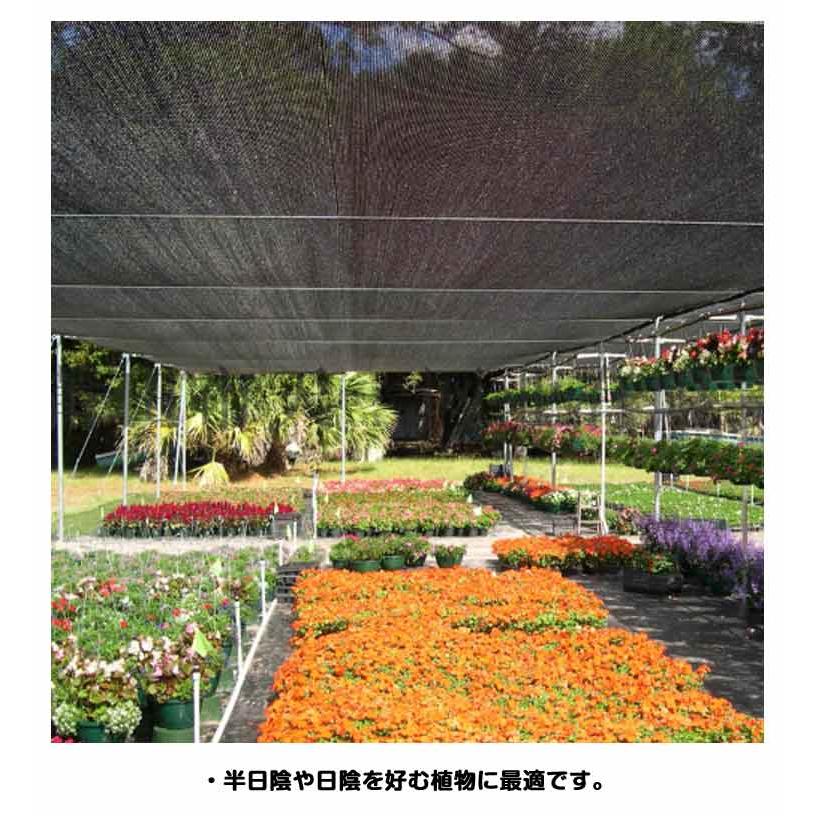 鳥避けネット 遮光ネット 遮熱 日よけ 対策 農業用遮光ネット ネット