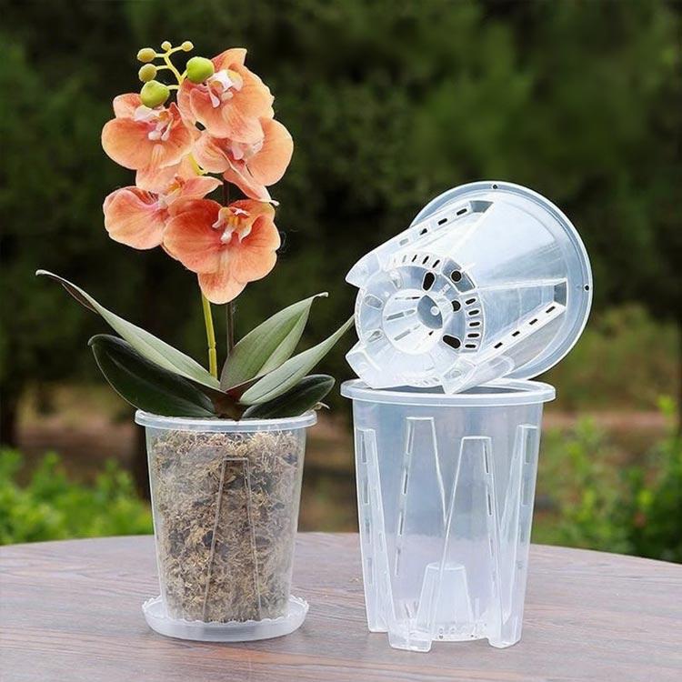 多肉植物 透明 屋外 植木鉢 受皿付き 穴付き プラスチック 蘭の鉢 10鉢