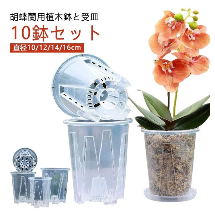 多肉植物 透明 屋外 植木鉢 受皿付き 穴付き プラスチック 蘭の鉢 10鉢