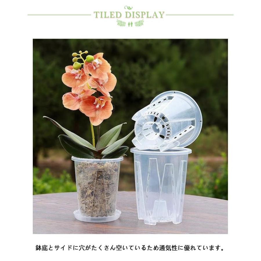 多肉植物 透明 屋外 植木鉢 受皿付き 穴付き プラスチック 蘭の鉢 10鉢