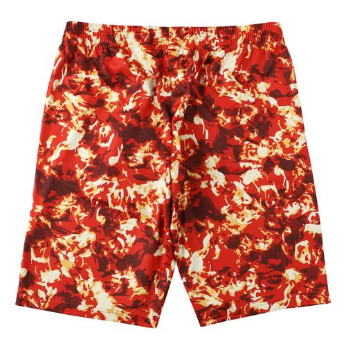 EGOZARU / エゴザル フレイム ショーツ/バギーパンツ (EZHP