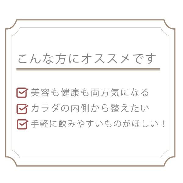 核酸コラーゲン2 アイナチュラプレミアム 48スティック サプリメント サプリ コラーゲンペプチド 粉末 パウダー 個包装 スティック 美容 健康｜vitamindo｜04