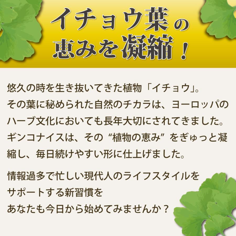 (*´◒`*)kkさま専用★イチョウ葉✖️②箱　➕　アイノウ✖️10袋 イチョウ葉EX | やわた【八幡物産】