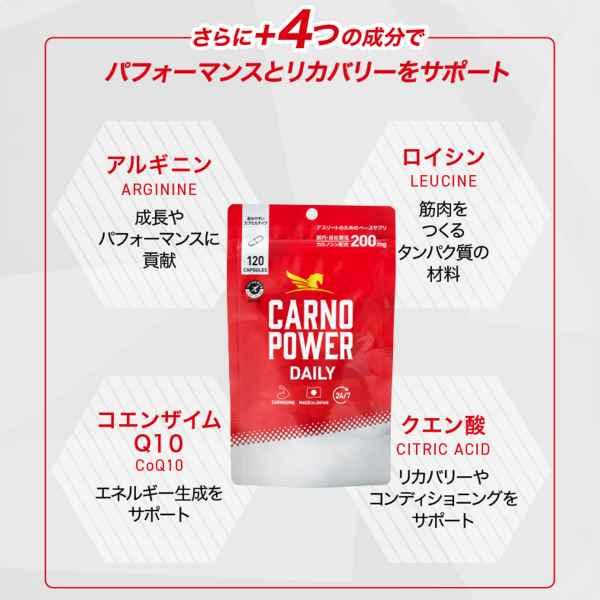 送料無料！カルノカルノパワーDAILY（120粒）【ハマリ（浜理薬品 
