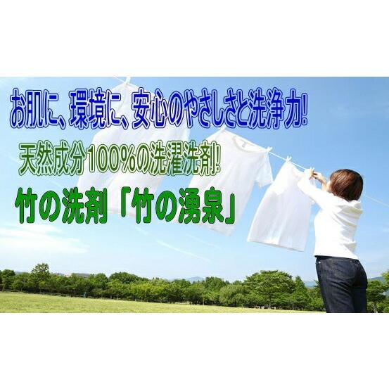 竹の洗剤！竹の湧泉（たけのゆうせん）ボトルタイプ1000ml【アイシード