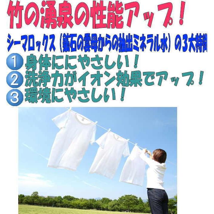 竹の洗剤！竹の湧泉（たけのゆうせん）ボトルタイプ1000ml【アイシード