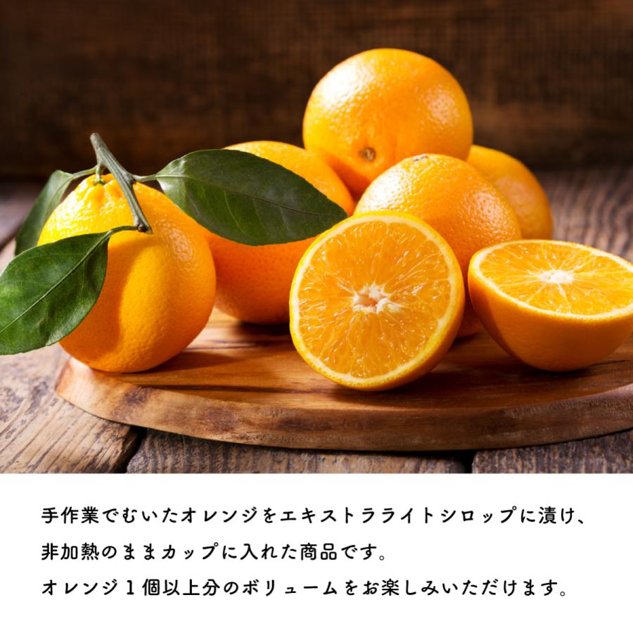 ビタプラス Vita フルーツ バレンシアオレンジ シロップ漬け フルーツ スイーツ まとめ買い ビタミンｃ 227g 12個入 公式 Fc Vo ビタプラス ヤフー店 通販 Yahoo ショッピング