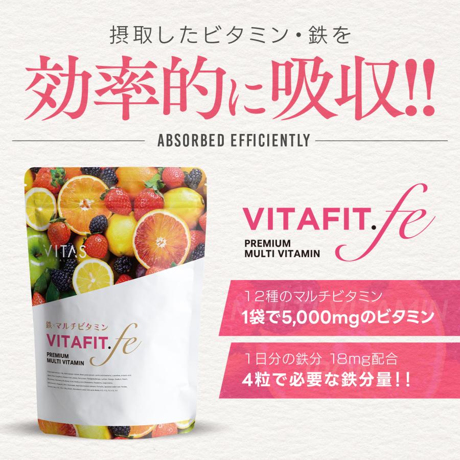 VITAS（バイタス） VITA FIT.fe ビタフィット 鉄 葉酸 鉄分 ブドウ種子