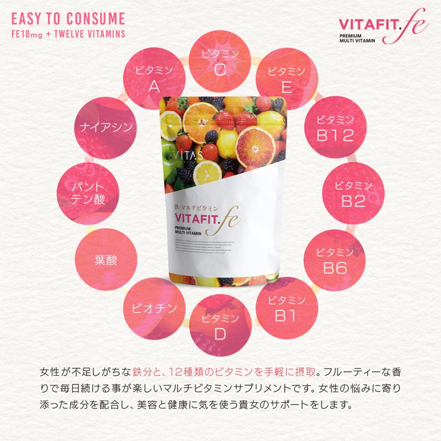 VITAS（バイタス） マルチビタミン VITAFIT 120粒 鉄 葉酸 サプリ 栄養