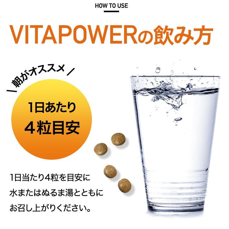 VITAS（バイタス） VITAPOWER ビタパワー ビタミンC マカ 亜鉛 マルチ