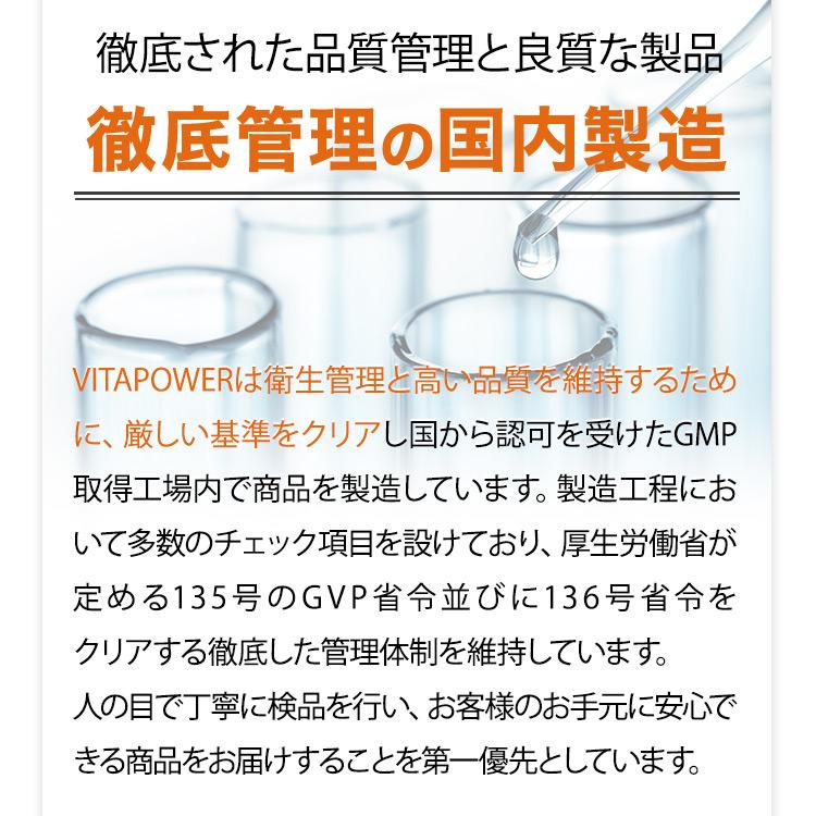 マルチビタミン VITAPOWER 90日分 サプリ 栄養機能食品 マカ 亜鉛 ビタミン ミネラル 錠剤 360粒 VITAS ビタミン剤 ビタパワー｜vitas｜16