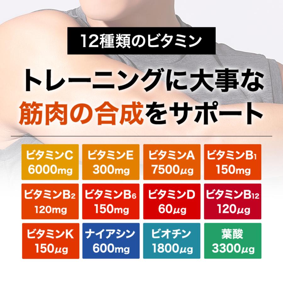 VITAS（バイタス） マルチビタミン VITAPOWER 120粒 36000mg サプリ