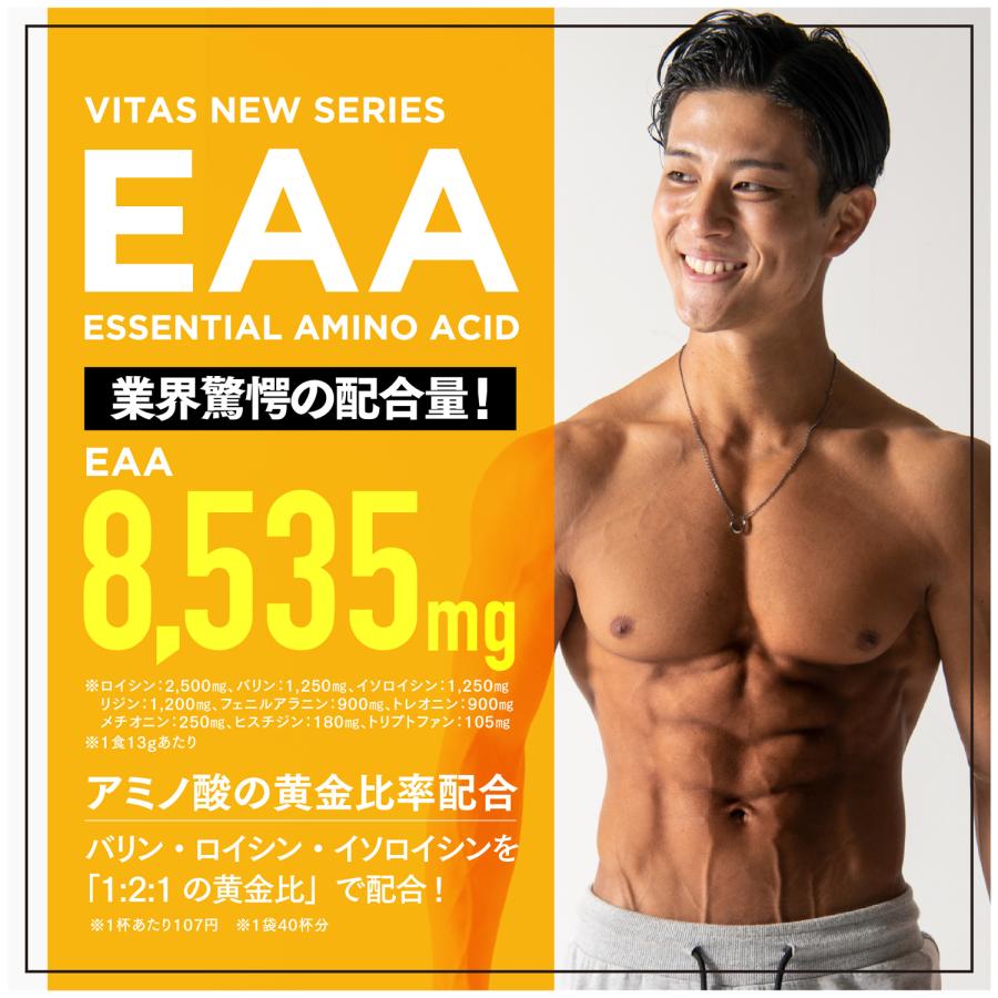 VITAS（バイタス） EAA なーすけ Fitness 監修 みかん 風味 520g BCAA