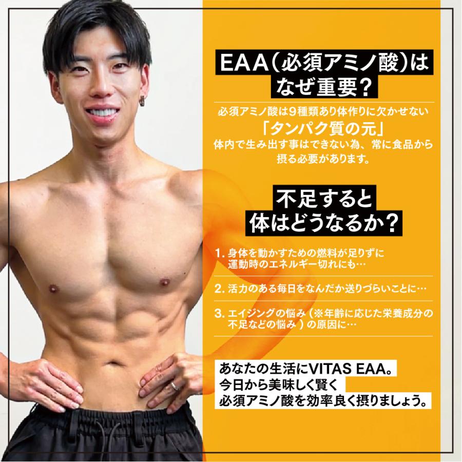 VITAS（バイタス） EAA なーすけ Fitness 監修 みかん 風味 520g BCAA