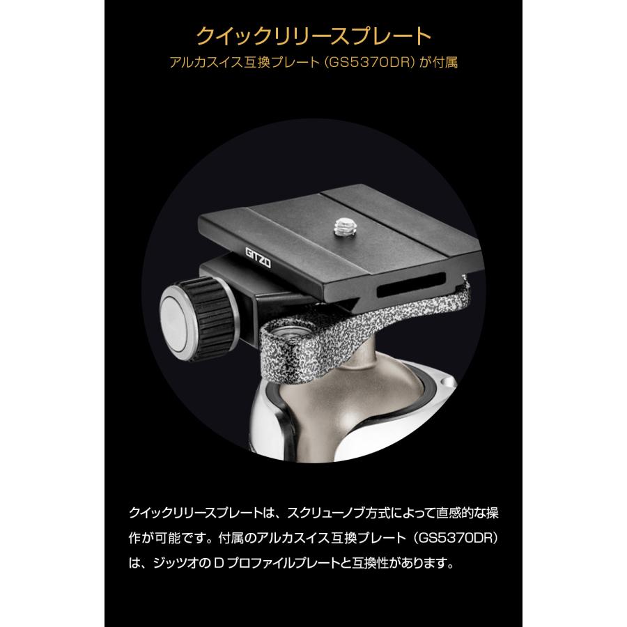 マウンテニア 【Outlet】Gitzo ジッツオ マウンテニア三脚GT2542+雲台