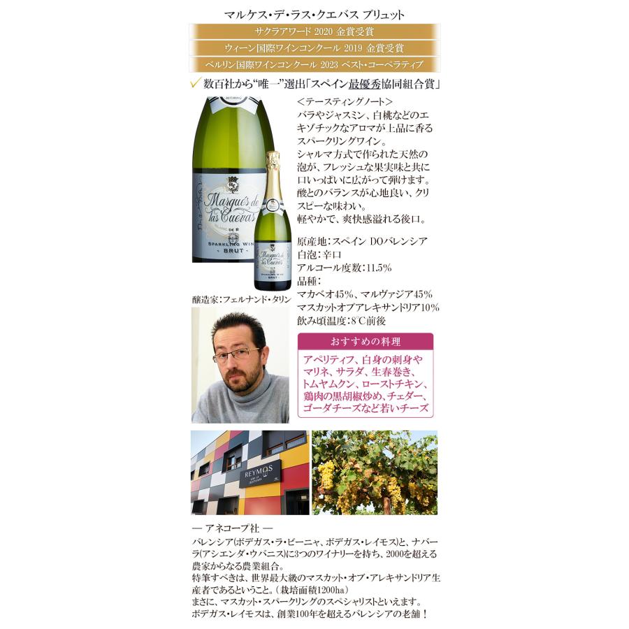 ワイン ワインセット 泡 シャンパン入り お楽しみスパークリングワイン