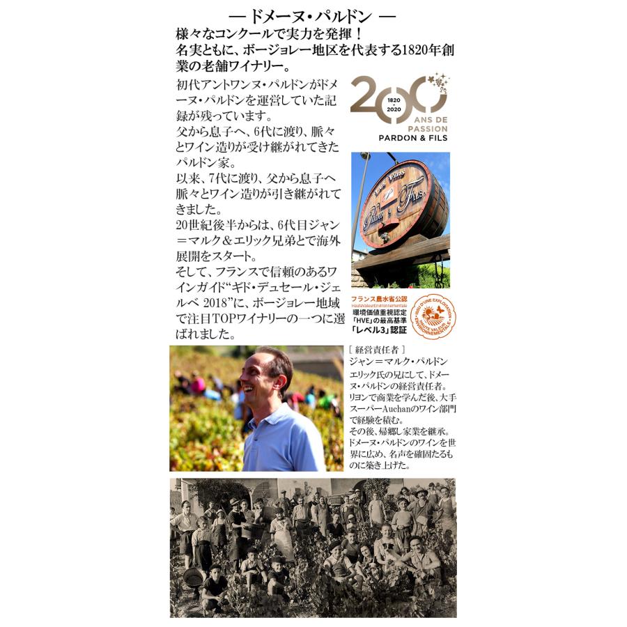 予約 ボジョレーヌーボー2024 ボジョレー ヌーボー 2024 最高金賞5回＆ボージョレーの重鎮 ヴィラージュヌーヴォー セット 解禁日11/21(木)以降お届け