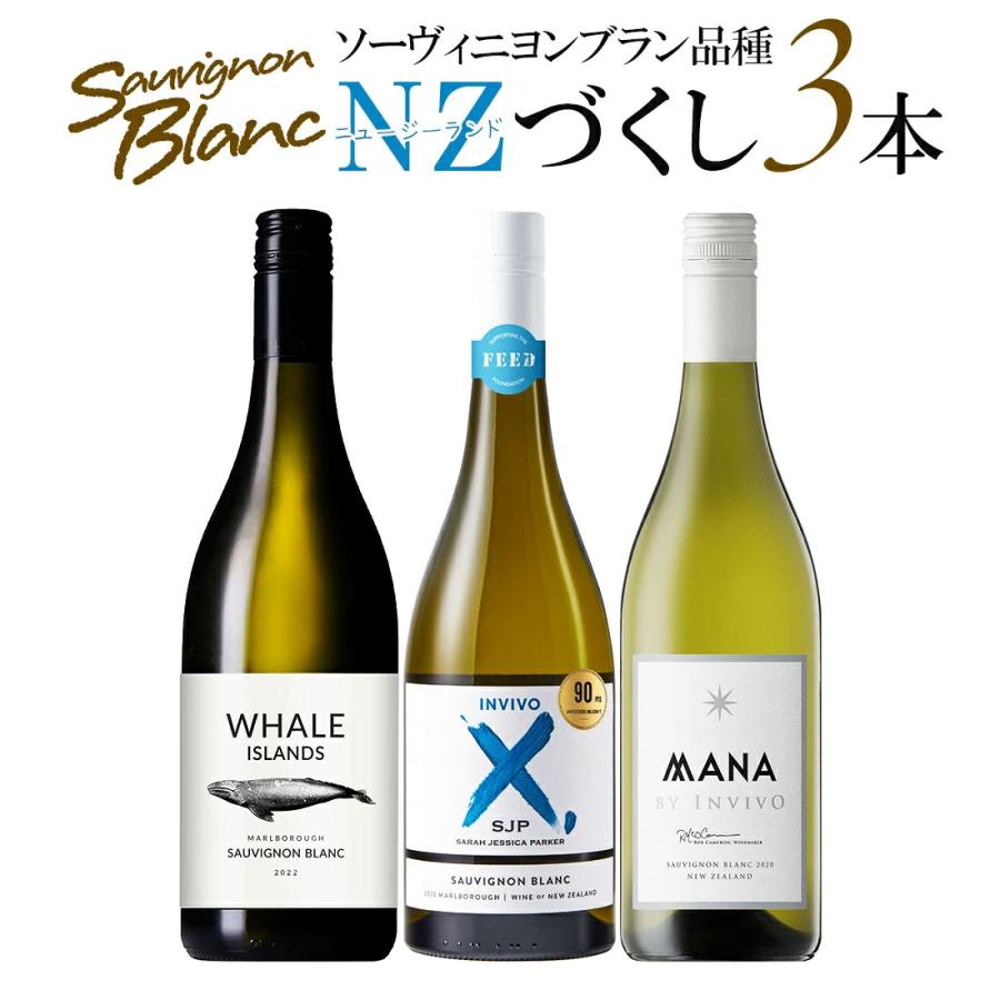 ワインセット ニュージーランド産ソーヴィニヨンブラン特集 白ワイン 3
