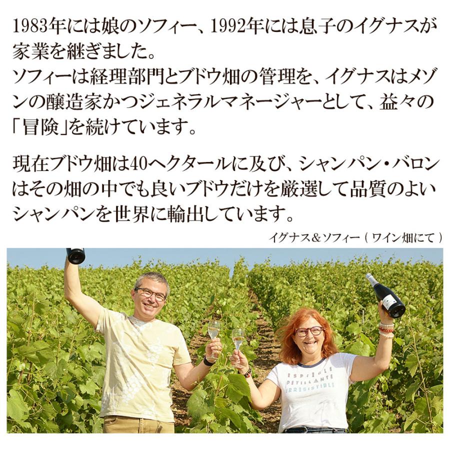 ワイン ワインセット 赤ワイン 白ワイン 泡 シャンパン入り 赤白泡 5本