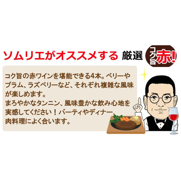 ワイン ワインセット ソムリエおすすめ お手頃チョイス 赤ワイン バラエティ 4本セット 赤ワインセット 送料無料 ワイン館ビバヴィーノペイペイモール店 通販 Paypayモール