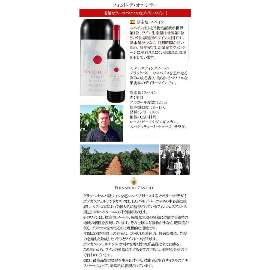 新品未開封品【2本セット】赤ワイン・白ワイン ワイン ワインセット 赤白 赤ワイン 白ワイン 赤白ワインセット 6本