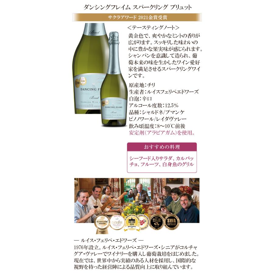 売り切りたいです！ワインまとめ売り！お買い得！ 25本！ 当店ソムリエが選んだ「ちょっといいワイン」赤ワイン8本セット 送料