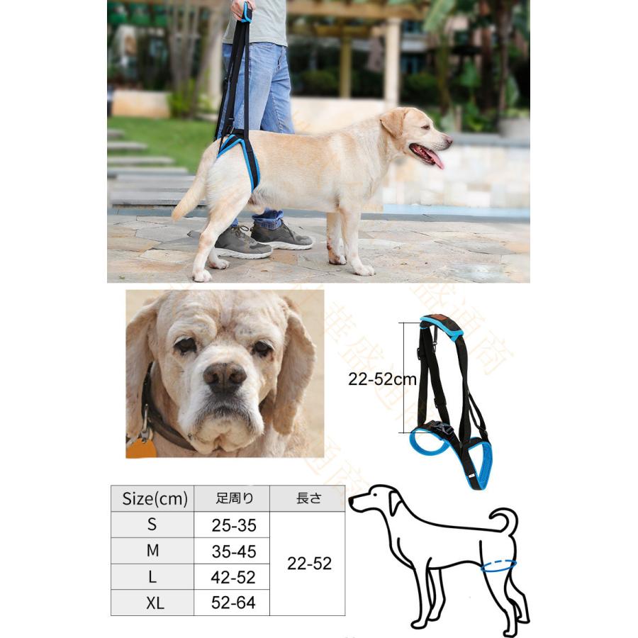 主張する 周波数 動機 ラブラドール 老 犬 後ろ足 追い越す 家禽 著名な