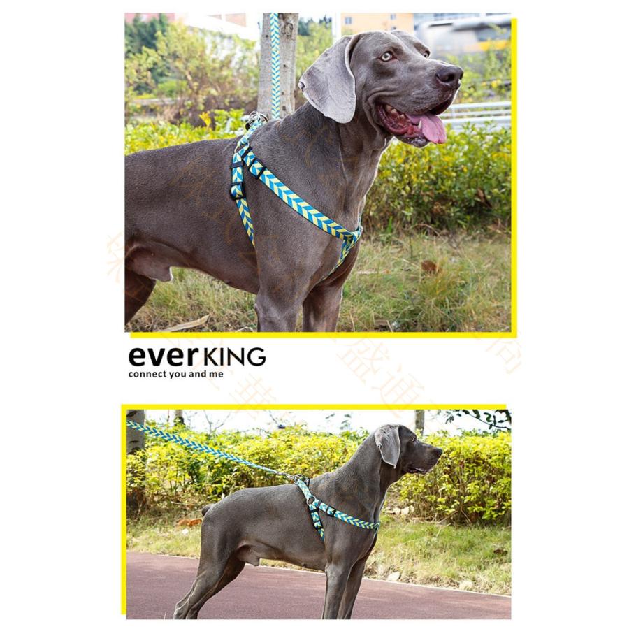 リード 犬 ペット 散歩 伸縮リード 小型犬 中型犬 大型犬 おしゃれ 持ちやすい お出かけ 訓練 トレーニング 迷子防止 ファッションリード 犬用品 ペットグッズ Bpetev0101 B Viva 通販 Yahoo ショッピング