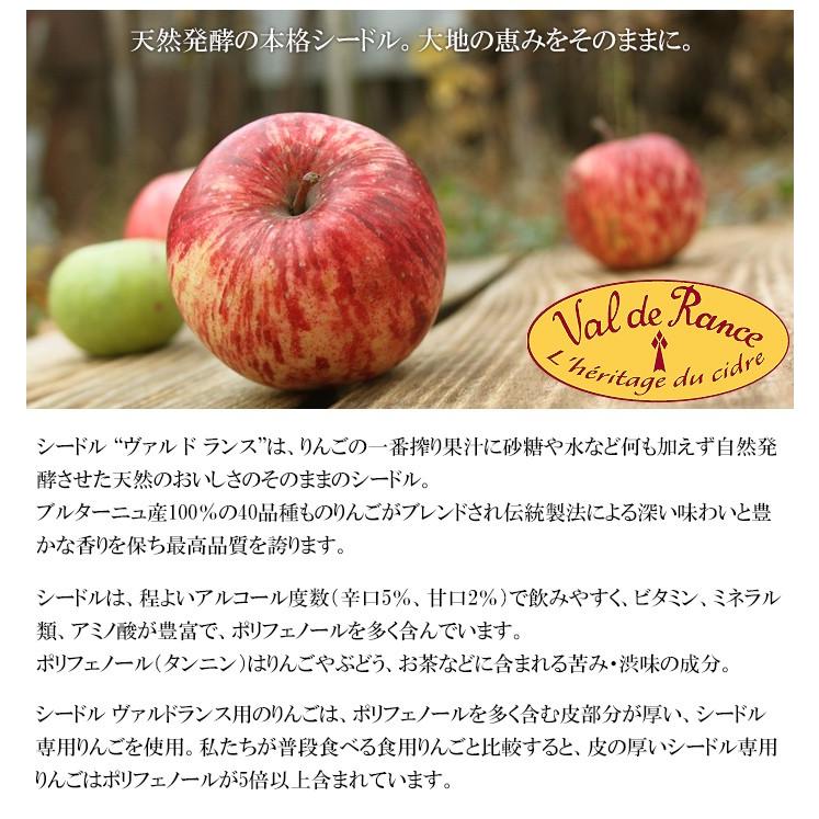 シードル ヴァル ド ランス クリュ ブルトン 辛口 りんご りんごのお酒