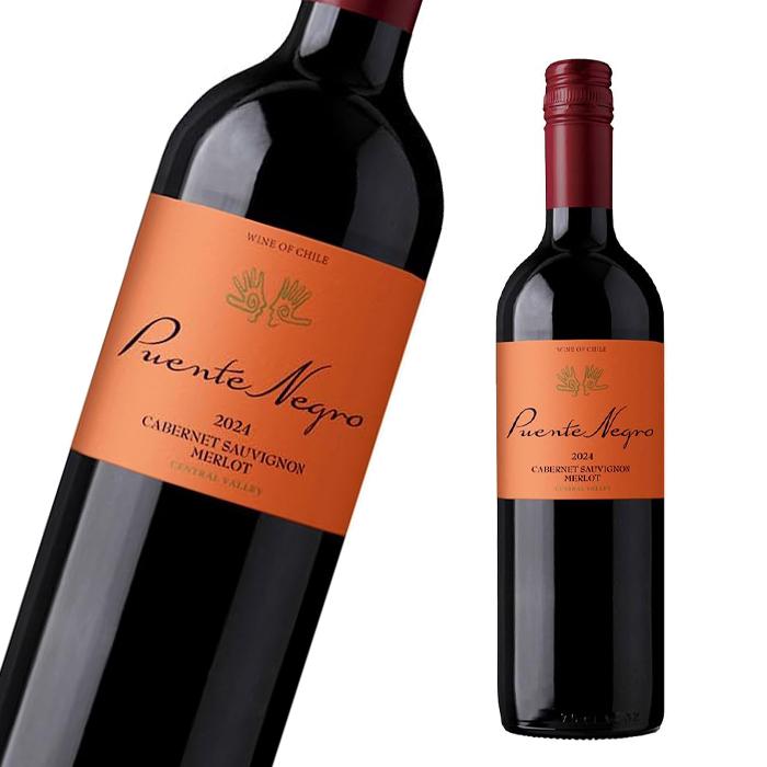 ワイン 赤ワイン プエンテ ネグロ 赤 チリ産 辛口 チリワイン WINE