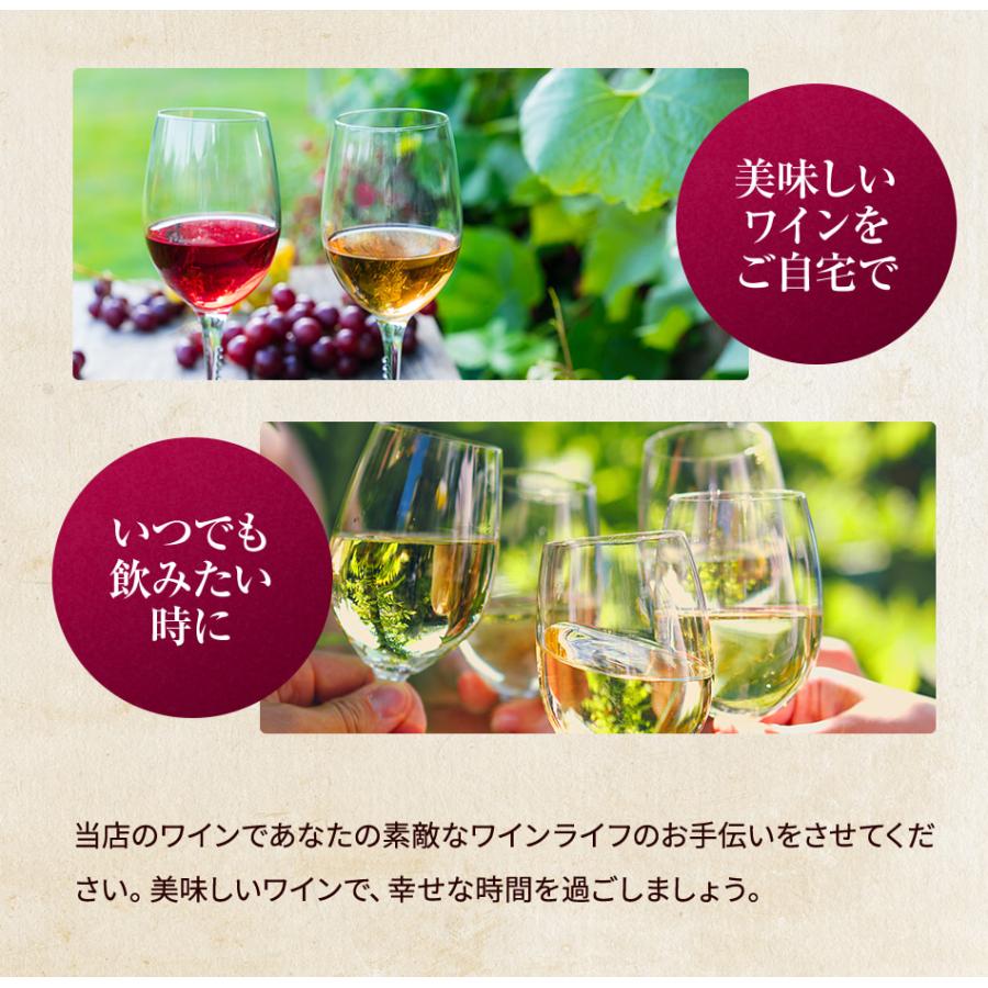 白ワイン モンテゴーサ 白 スペイン 辛口 スペインワイン｜viva-vino｜04