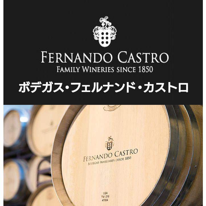ワイン 赤ワイン セニョリオ デ バルデナーバ スペイン 辛口 ワイン 赤ワイン セニョリオ デ バルデナーバ スペイン 辛口