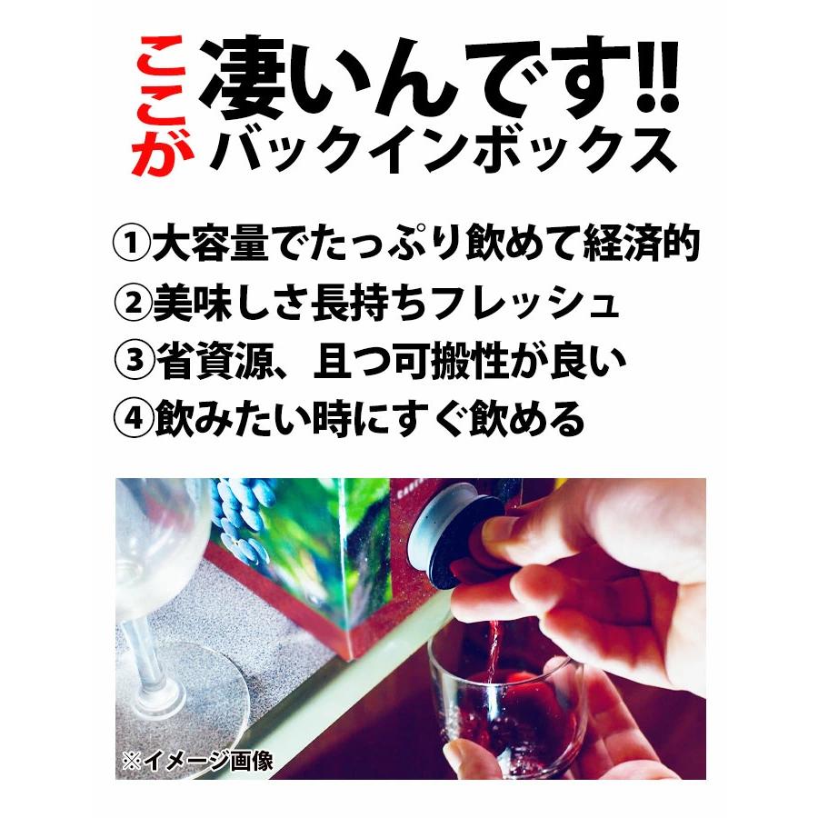 ワイン BOX ワインセット バッグインボックス 箱ワイン 赤白ワイン