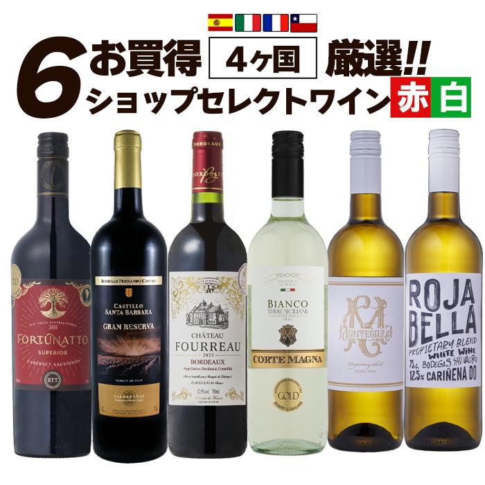 ワイン ワインセット お買得 ショップセレクトワイン お得すぎる赤白6
